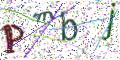 图形验证