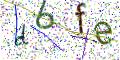 图形验证