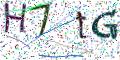 图形验证