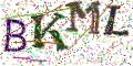 图形验证