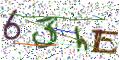 图形验证