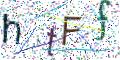 图形验证