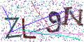 图形验证