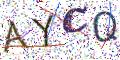 图形验证