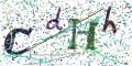 图形验证