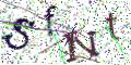 图形验证