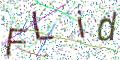 图形验证
