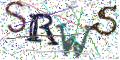 图形验证