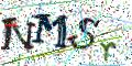 图形验证