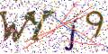 图形验证