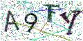 图形验证