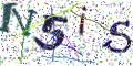 图形验证