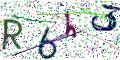 图形验证
