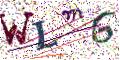 图形验证
