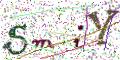 图形验证