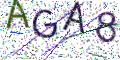 图形验证