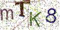 图形验证