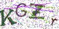 图形验证