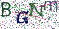 图形验证