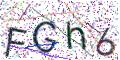 图形验证