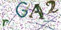 图形验证