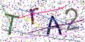 图形验证