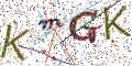 图形验证
