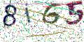 图形验证