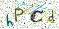 图形验证