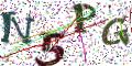 图形验证