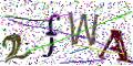 图形验证