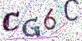 图形验证