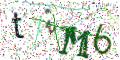 图形验证
