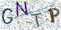 图形验证