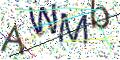 图形验证