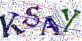 图形验证