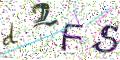 图形验证