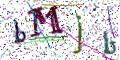 图形验证
