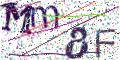 图形验证