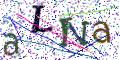 图形验证