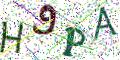 图形验证