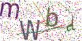 图形验证