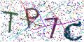 图形验证