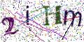 图形验证