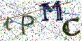 图形验证