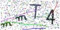 图形验证
