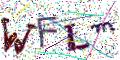 图形验证