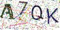 图形验证