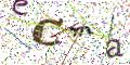 图形验证