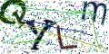图形验证